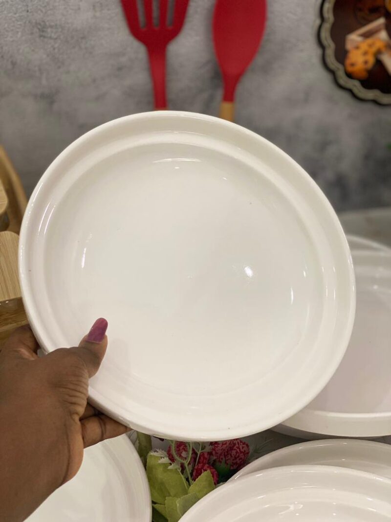10in double layer single plate