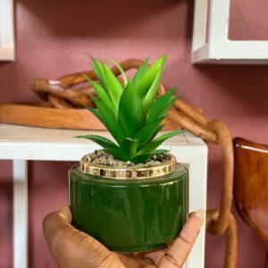 Boho succulent planter -green