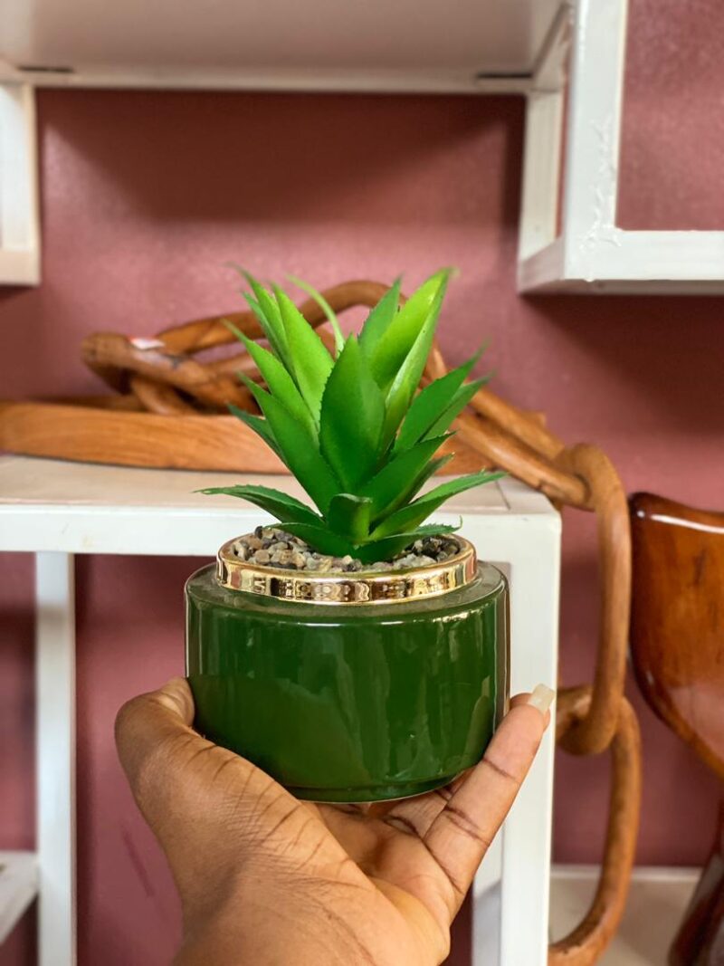 Boho succulent planter -green